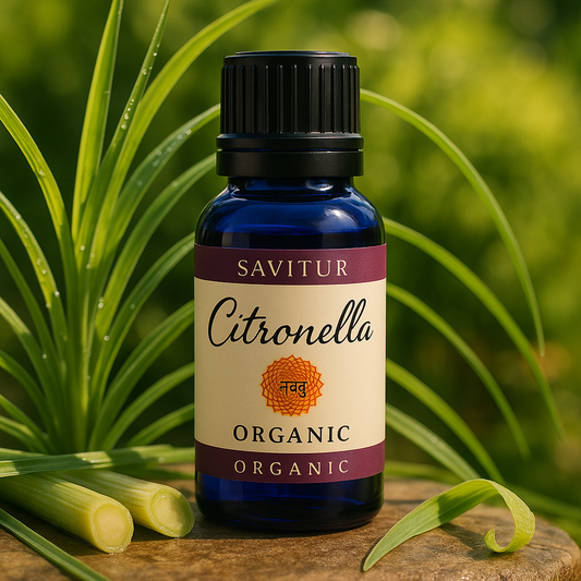 Citronella | Botanical Shield of Freshness and Protection
