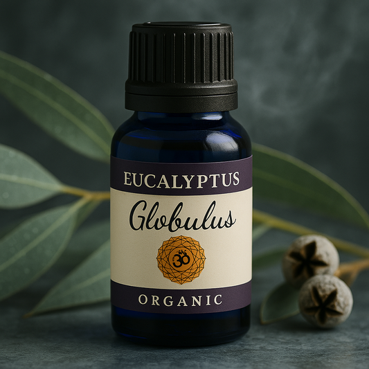 Eucalyptus Globulus | Expansive Breath and Respiratory Clarity