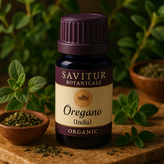 Oregano (India) | Potent Defense and Fiery Vitality
